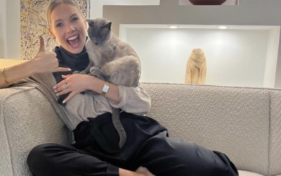 Maison en rénovation