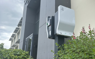 Cabinet In Extenso – Saint Contest